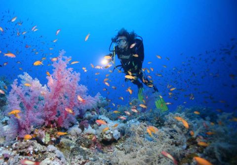 plongée sous marine montres de luxe
