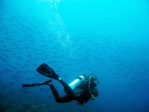 plongée sous marine montres de luxe