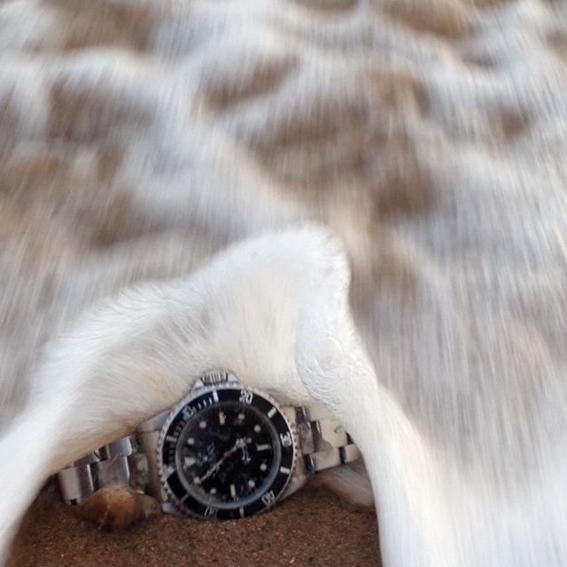 Rolex submariner montre de luxe d'occasion cresus